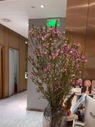 -苑苑vbeauty科技美容SPA