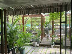 -谷咖啡·鲜花绿植花园餐厅