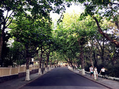 iphone_upload_pic-八大关景区