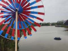 -上海长兴岛郊野公园