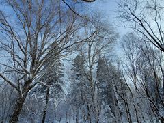 -雪谷