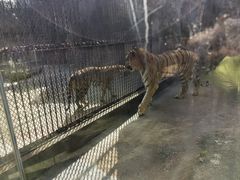 -南昌动物园