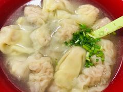蕨菜鲜肉水饺-谈炎记水饺大王(利济北路店)