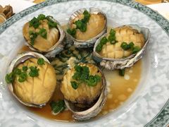 海岛渔村大酒店-海岛渔村大酒店(云霄路店)