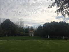 -合肥滨湖国家森林公园