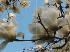 -人民广场