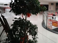 -偶屋里钵少爷(时代广场店)