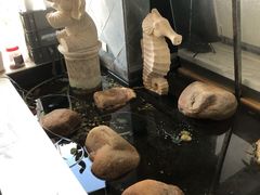 -乐尚音乐空间·钢琴·声乐·架子鼓(会展中心店)