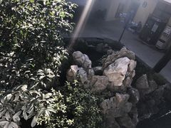 -上海市皮肤病医院(武夷路院区)