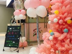 -三花喵·撸猫购宠·宠物生活馆(虹桥南丰城店)
