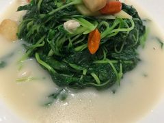 -樱苑(四川北路店)