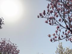 -华山风景名胜区
