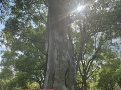 -黄兴公园