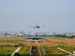 -空港花田景区