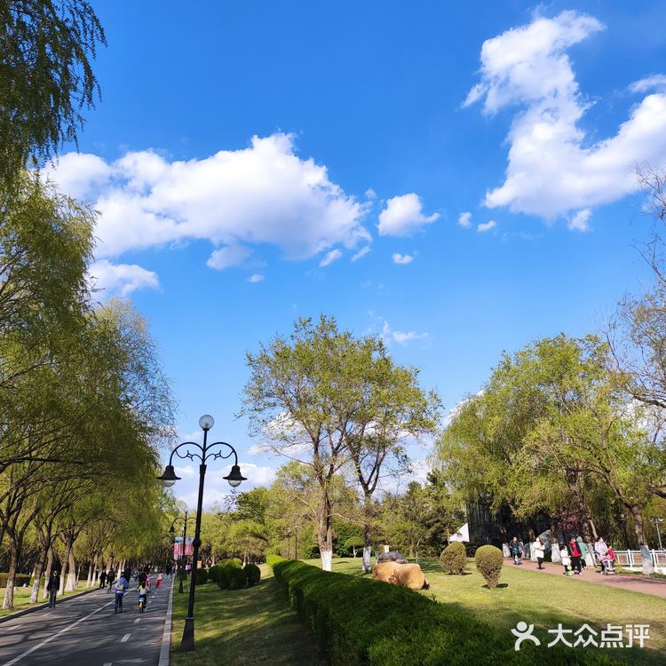沈水湾公园