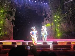 -灵玲国际马戏城