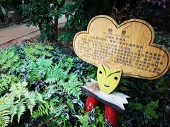 -呀路古热带植物园