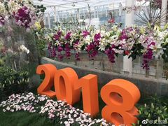 -上海鲜花港