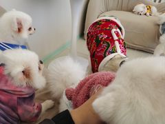 -怪兽屋·羊驼·猫咖·狗咖(俊华广场店)