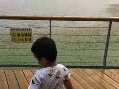 -东郊湿地公园