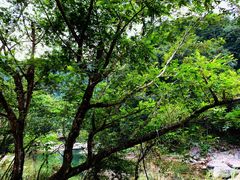 -楠溪江风景名胜区