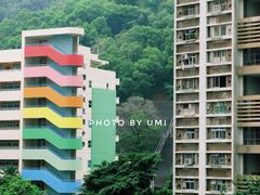 -彩虹村