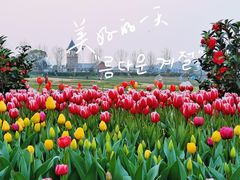 -花博汇(知音花月夜)