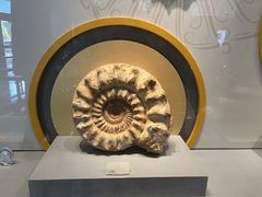 -湖南省地质博物馆