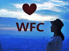-WFC会仙楼观景台
