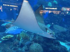 -成都浩海立方海洋公园