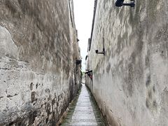 -乌镇东栅景区