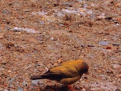 -西岭雪山大飞水景区