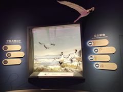 -中国湿地博物馆