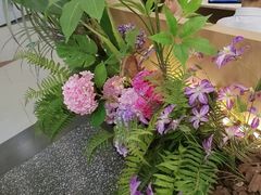 -Aqua Oasis 水天堂(常熟永旺店)