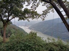 -铁山坪森林公园