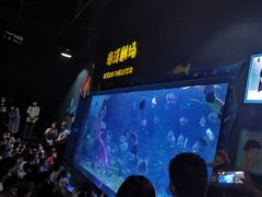 -郑州海洋馆