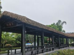 -枫香湖儿童公园