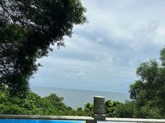 -广东惠东海龟国家级自然保护区