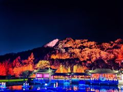 -印象普陀