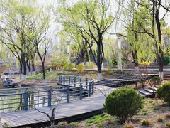 -大兴滨河森林公园