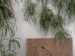 -唐咖精品咖啡(大理古城手冲店)