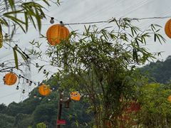 -伴山茶苑·围炉煮茶