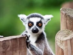 -上海动物园(地铁站)