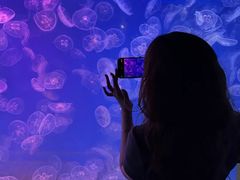 -左海海底世界