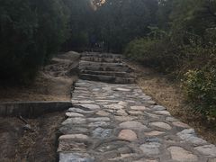 -北京鹫峰国家森林公园