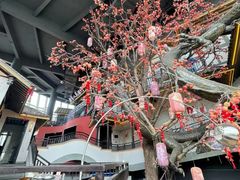 -老李家土菜馆·安吉地标美食