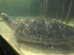 -苏州海洋馆