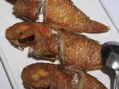 -金成潮菜博物馆(海珠湿地店)