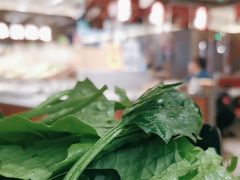 -新辣道鱼火锅(领展购物广场·中关村店)