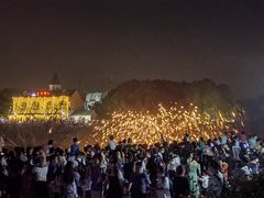 -大塘金香草谷